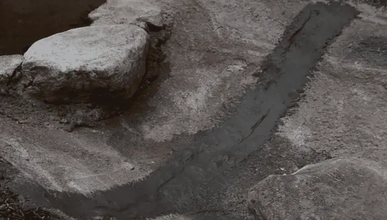 A black and white photo of a rock in a pond.