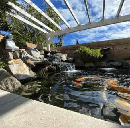 A backyard with a koi pond and a pergola.