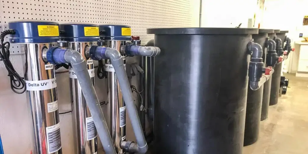 custom koi pond pumps and filtration services huntington beach ca 1 1024x512 2 | Lake Management Inc.