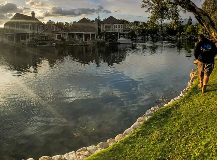 hoa community park pond services | Lake Management Inc.