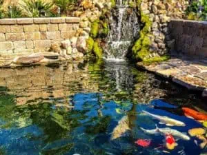 A koi pond with a stormwater retention basin and a waterfall in the middle.