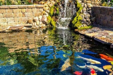 A koi pond with a stormwater retention basin and a waterfall in the middle.
