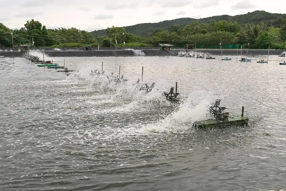 Surface Aerator Services​