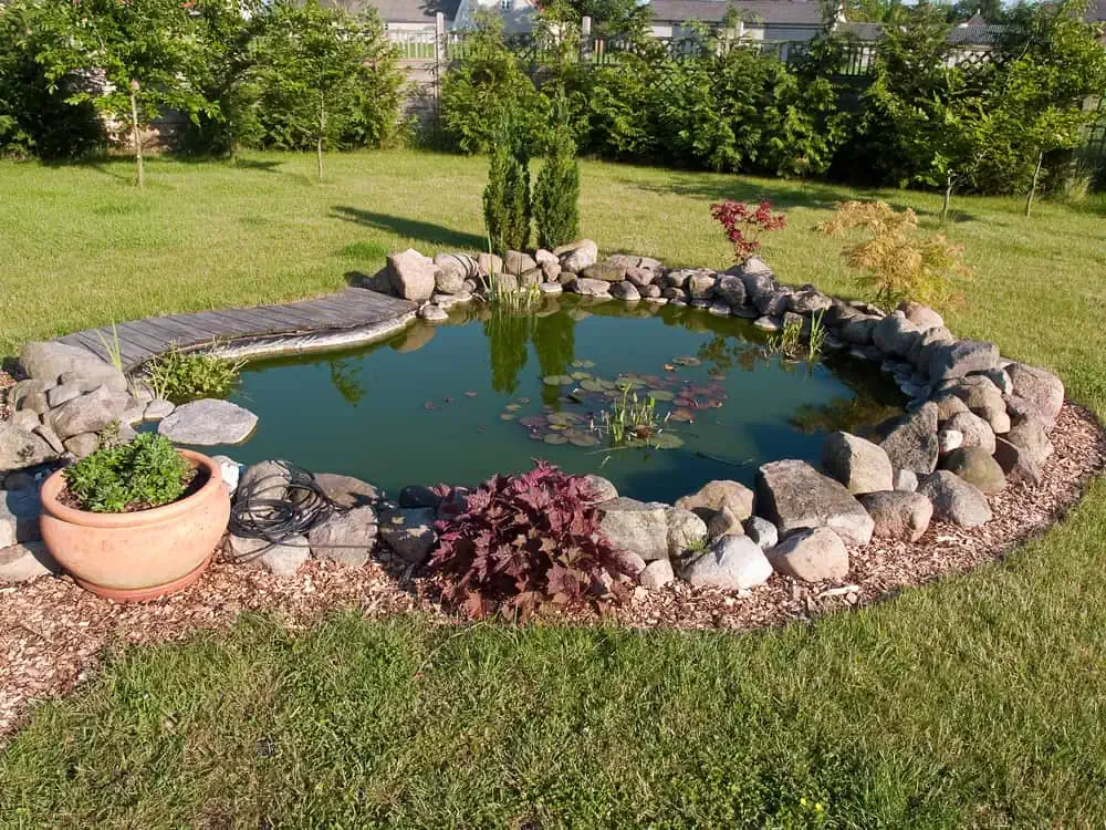 pond contractor services