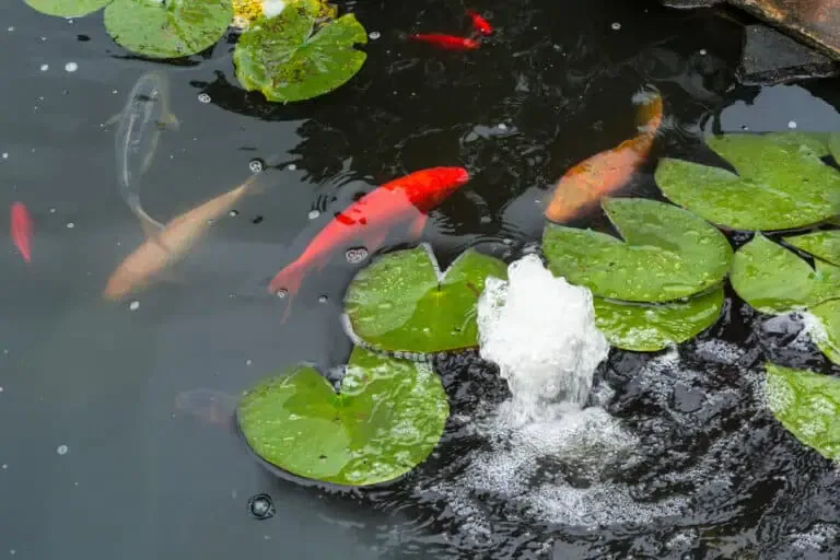 Pond Material Matters