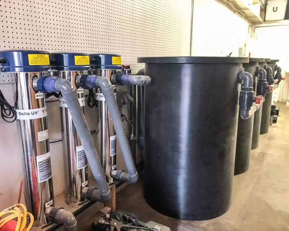 A group of tanks and pipes in a room.