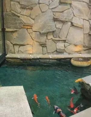 A koi pond with a statue in the middle.