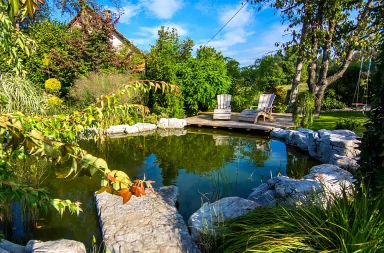 Pond Edges and Liners