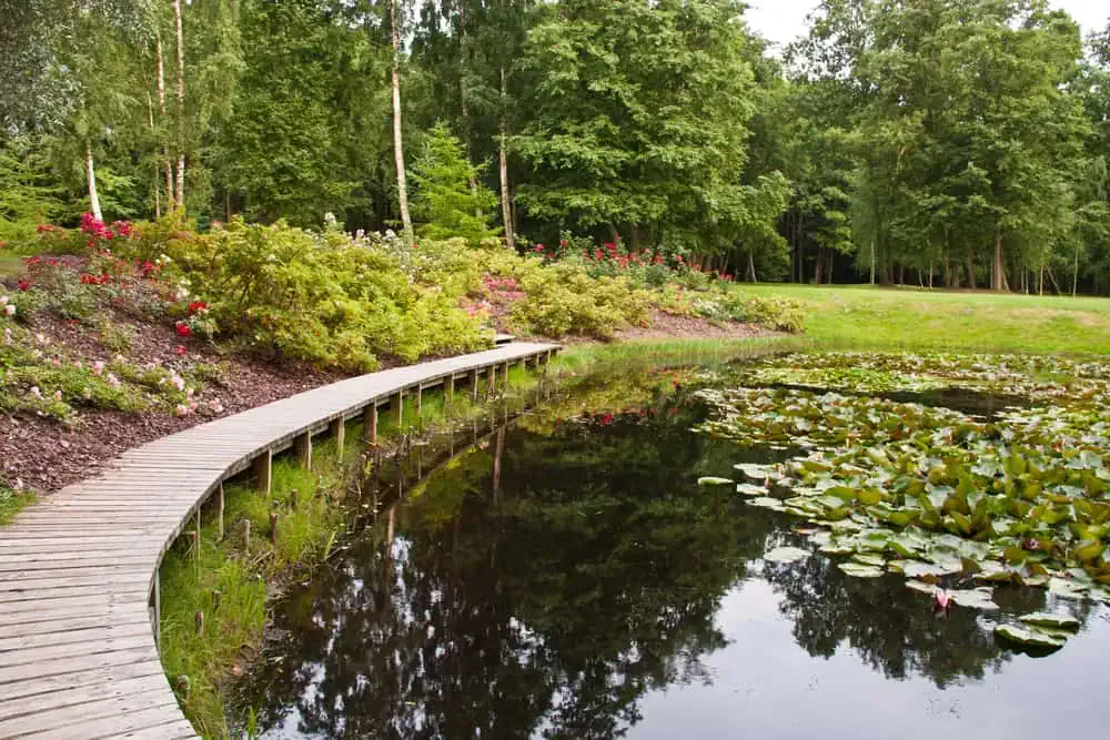 Living shoreline barriers