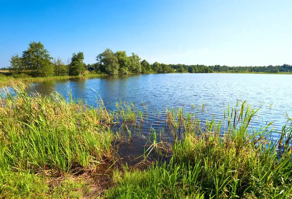 SHORELINE EROSION MANAGEMENT