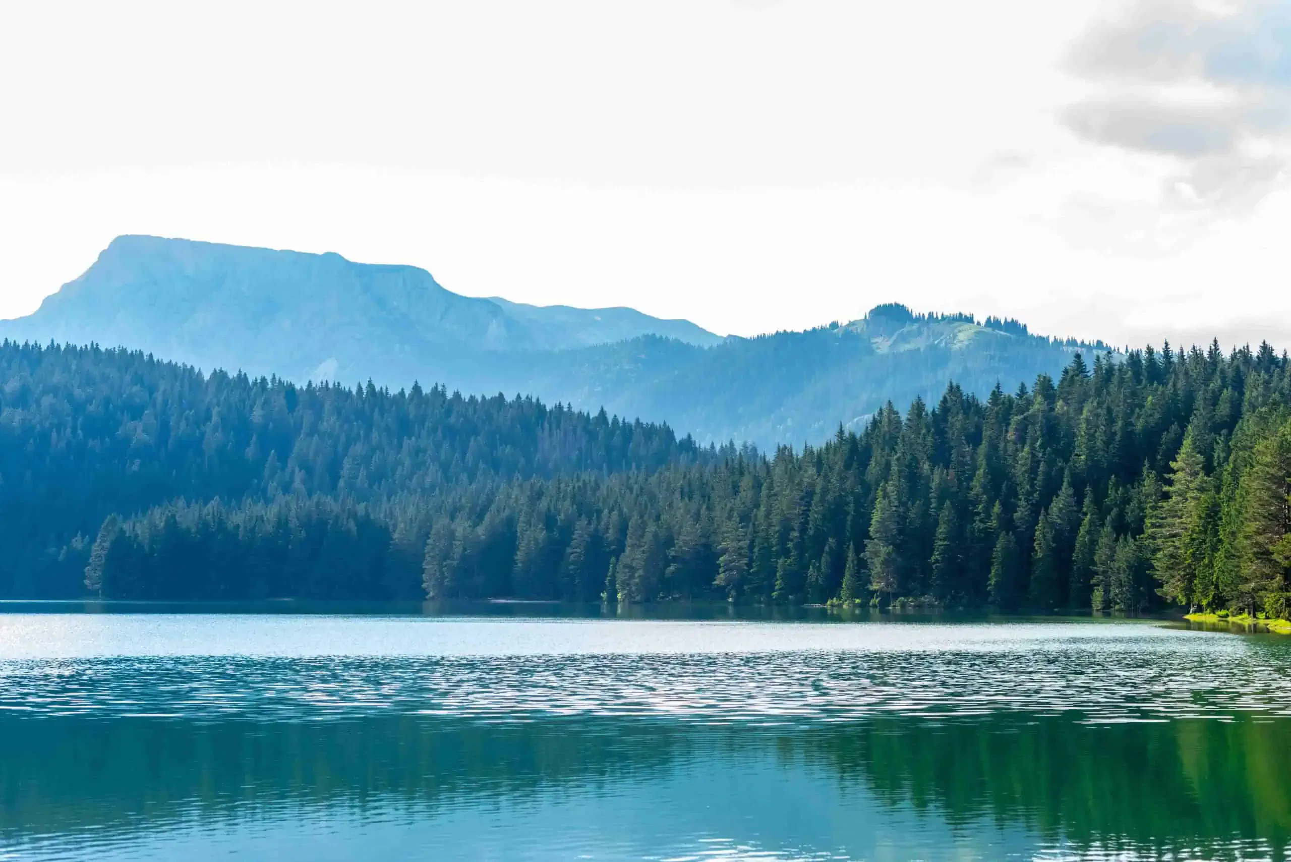A calm lake surrounded by dense evergreen forests with mountains in the background under a partly cloudy sky, perfect for water testing to ensure optimal water quality.