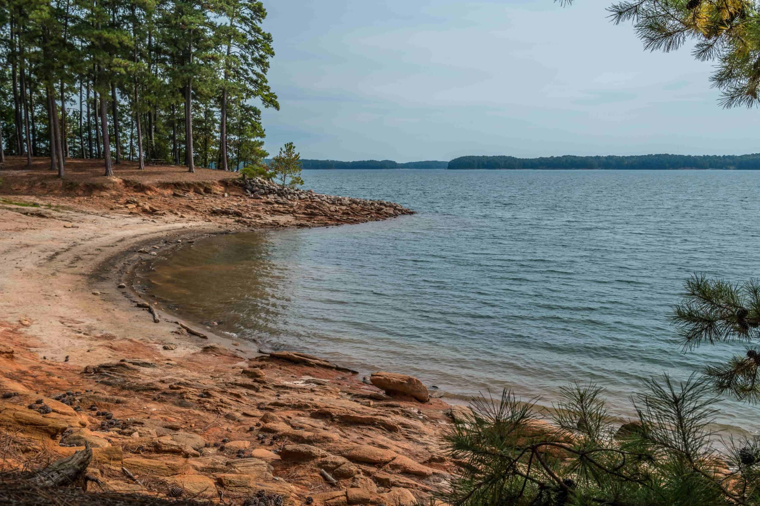 A calm freshwater lake with a rocky and sandy shoreline, under careful management to prevent erosion, is bordered by tall pine trees under a clear sky.