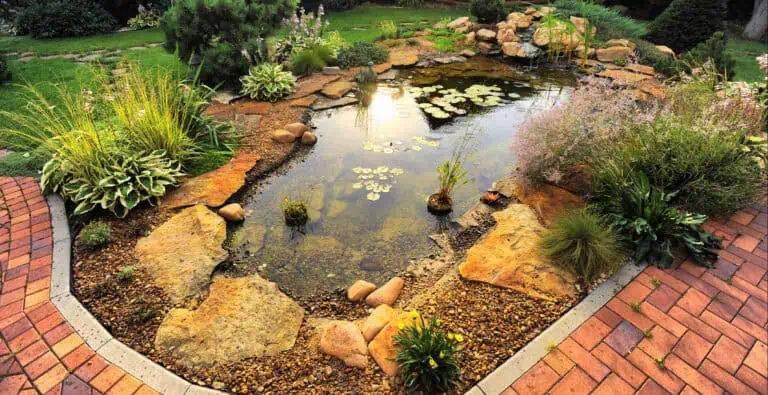 A small garden pond, skillfully crafted through expert pond construction, is surrounded by rocks, various plants, and greenery. Nestled near a brick-paved pathway, it offers a serene escape within your outdoor space.