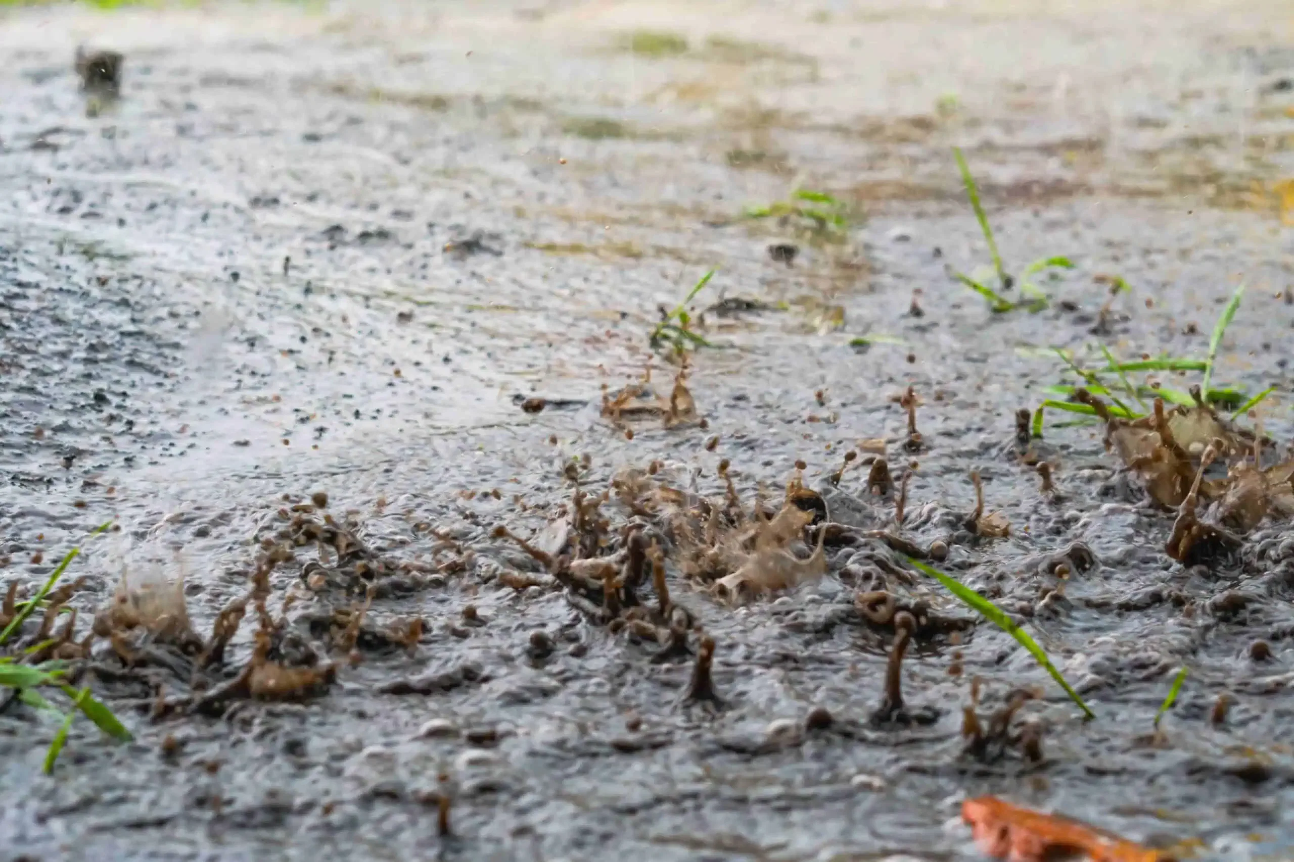 Close-up of rainwater splashing on the ground, creating small mud formations, and causing bits of grass to poke through the water—an organic water feature that nature provides without any services needed from your local HOA.