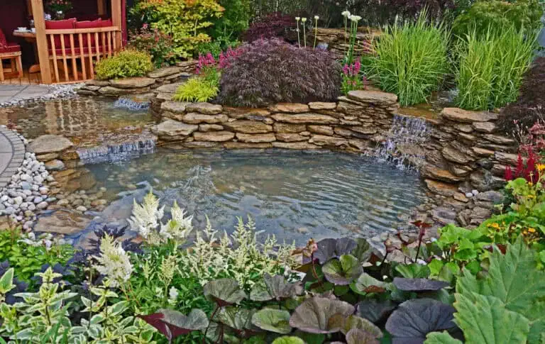 Budgeting And Planning For Your Koi Pond