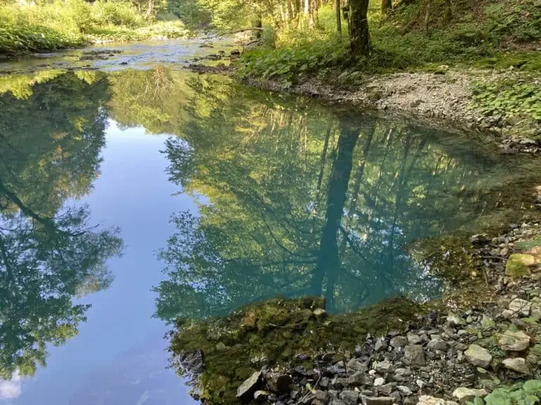 A calm, clear blue river reflecting green trees and a rocky shore, surrounded by a lush forest offers natural serenity. For detailed insights into maintaining such beauty, refer to our pond dredging guide.
