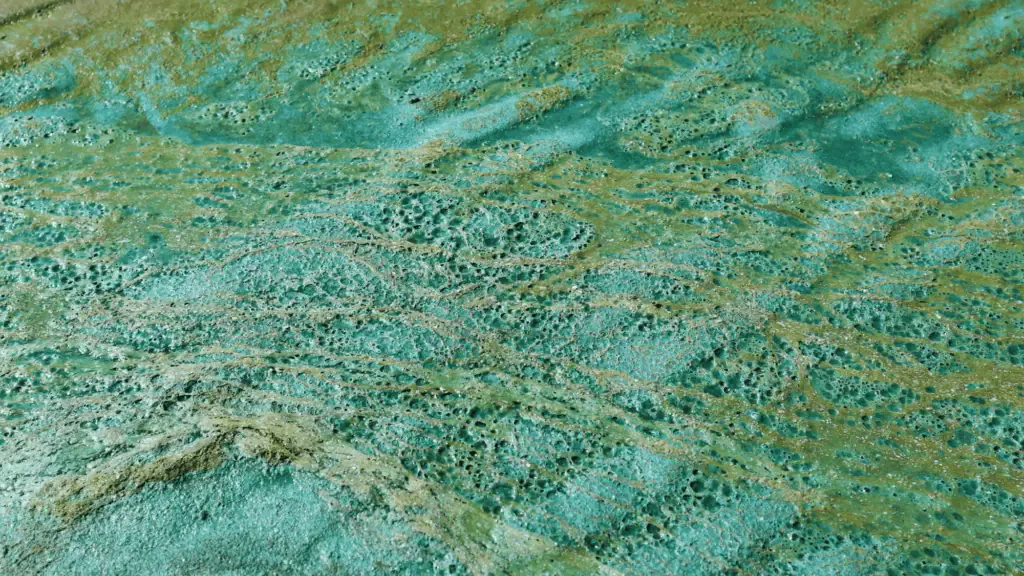 Close-up of a green and murky water surface with visible patterns and textures, resembling algae formations. The interplay of colors creates an almost mesmerizing guide to nature's intricate designs.