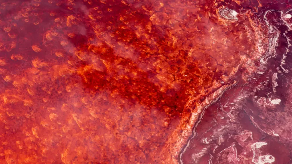 Aerial view of a strikingly red, rust-colored landscape showing patterns and textures, with a contrasting lighter area along the bottom right edge. The vibrant colors guide your eyes across the terrain, revealing where Algae may be thriving amidst the rugged beauty.