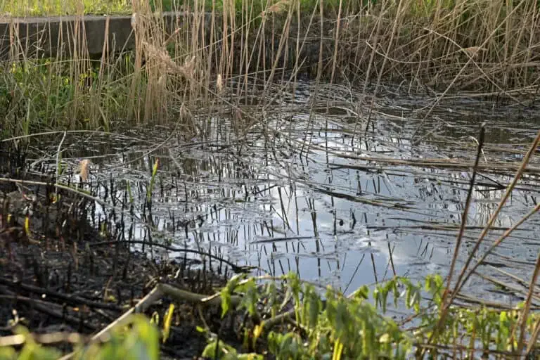 Assess The Extent Of The Problem