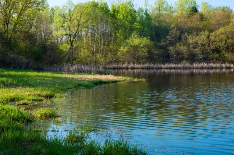 Factors To Consider When Choosing Between A Lake And A Pond
