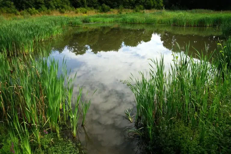 Manual Removal For Small Clusters