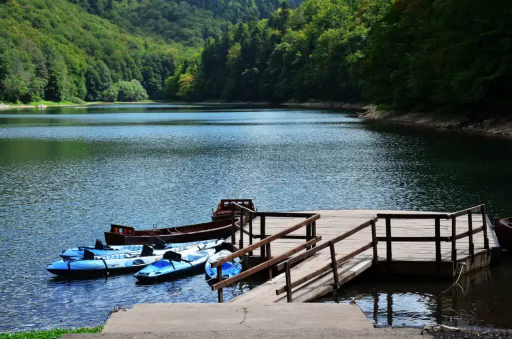 Pond Vs. Lake How Size Impacts Your Wallet