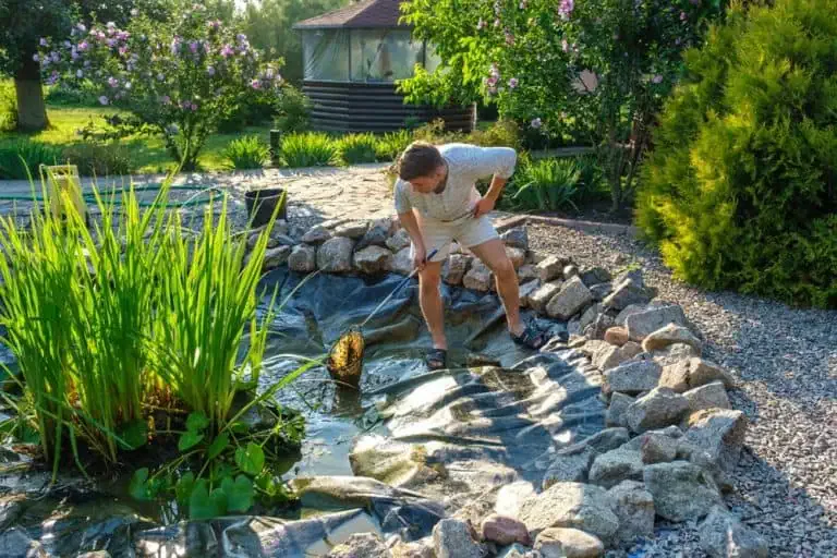 A man is cleaning a small backyard pond with a net, standing on rocks surrounded by lush plants and garden landscaping—perfect inspiration for your next Blog Post 2025.