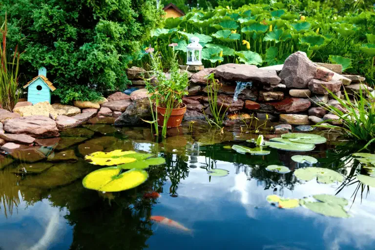 Small backyard pond with lily pads, koi fish, potted plants, rocks, and decorative items like a birdhouse and lantern, surrounded by lush greenery.