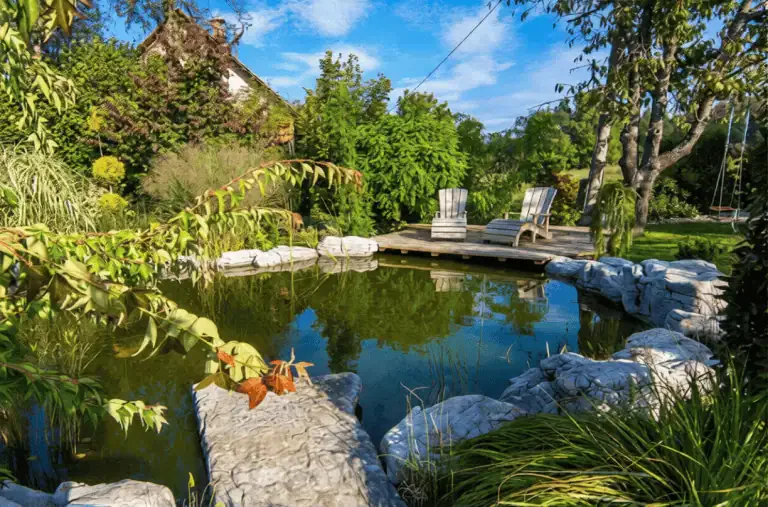 A small backyard pond with clear water, surrounded by rocks and plants, sits peacefully despite a faint pond odor, with two wooden lounge chairs on a deck in the background under a blue sky.