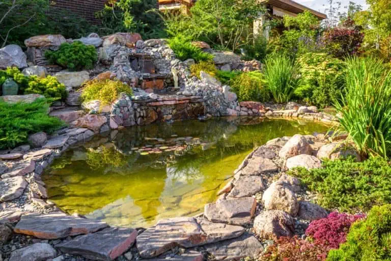 A landscaped garden pond with surrounding rocks, green plants, and a small waterfall feature in the background, designed with effective pond odor prevention to keep your outdoor space fresh and inviting.