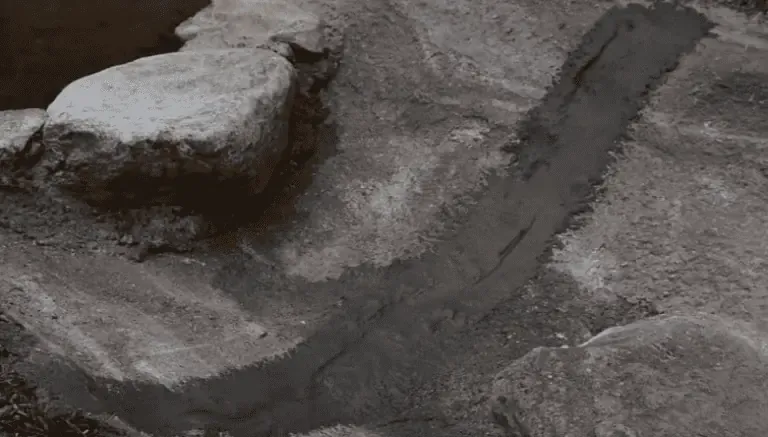 A black and white photo of a rock in a pond.