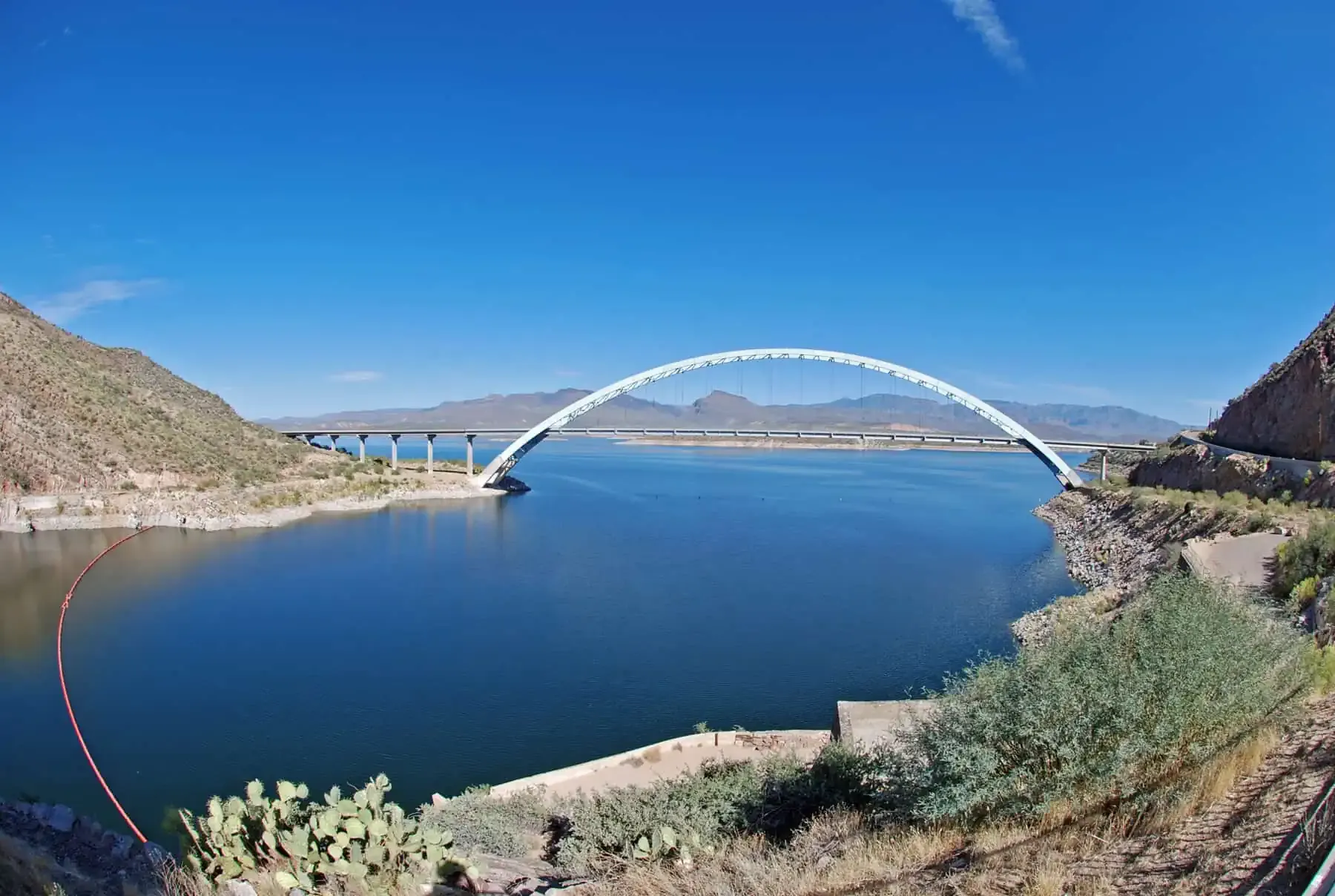 bridge fisheye | Lake Management Inc.