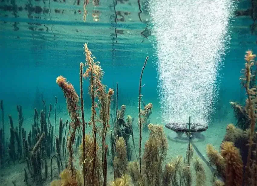 lake diffusion services 1 | Lake Management Inc.