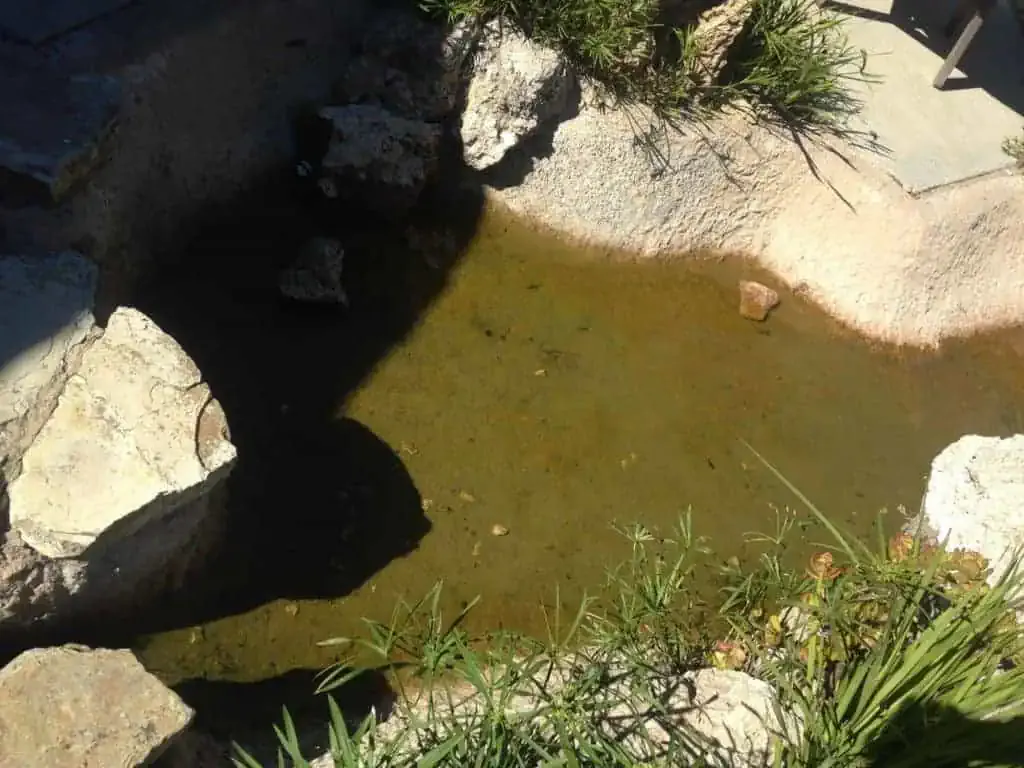 orange county koi pond cleaning services 1024x768 1 | Lake Management Inc.