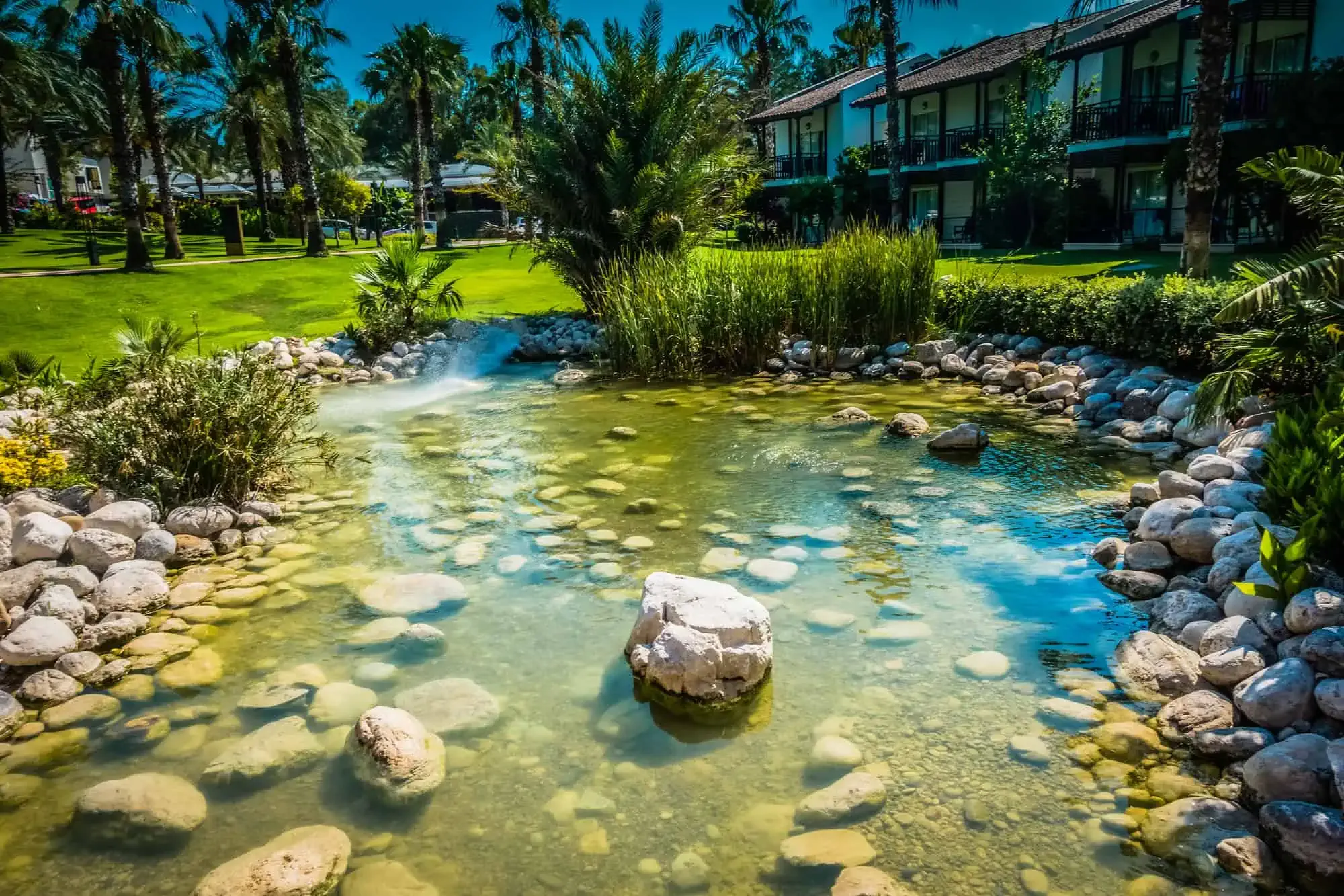 Pond Construction Repair & Maintenance