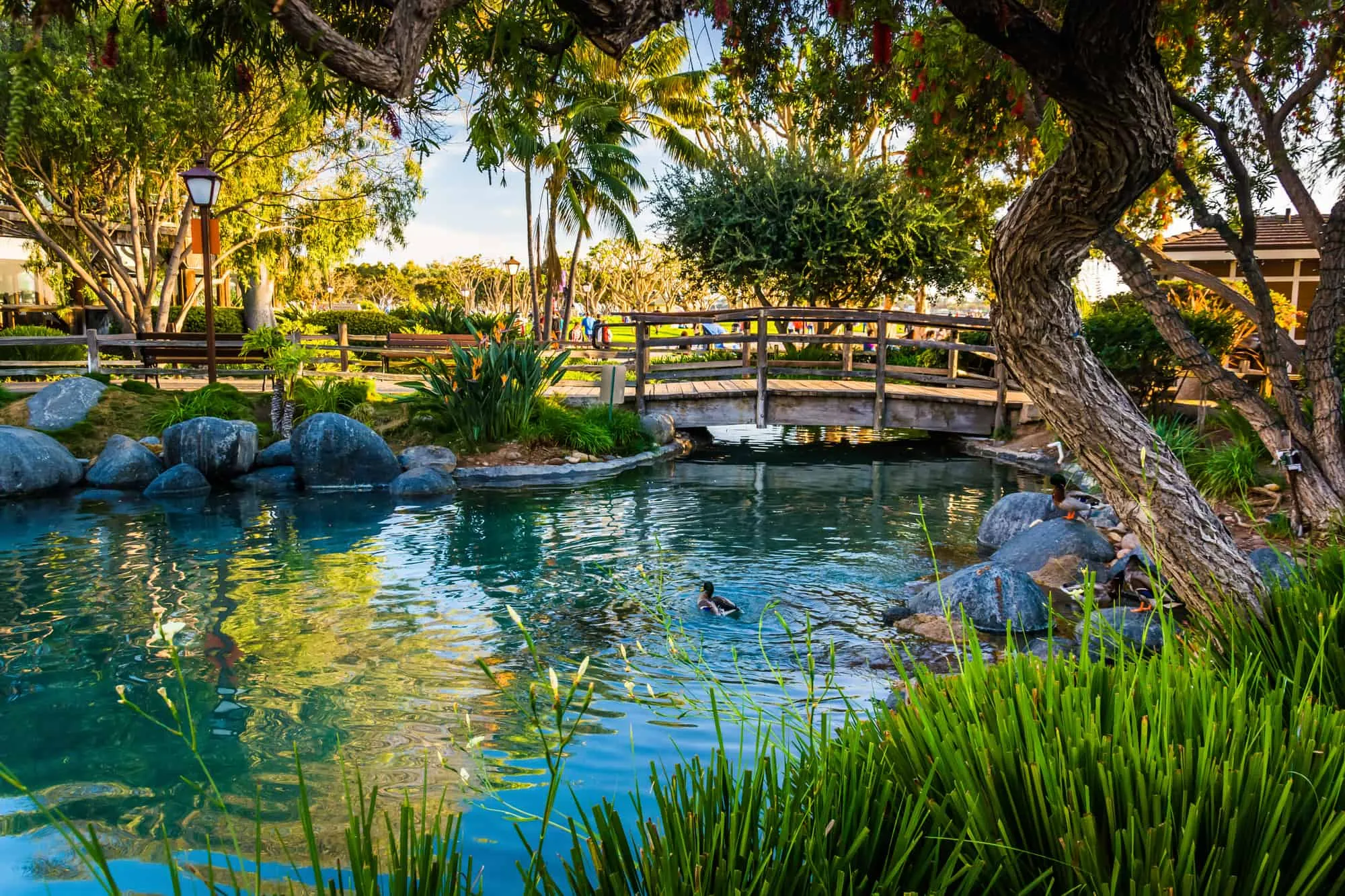 Pond Construction Repair & Maintenance