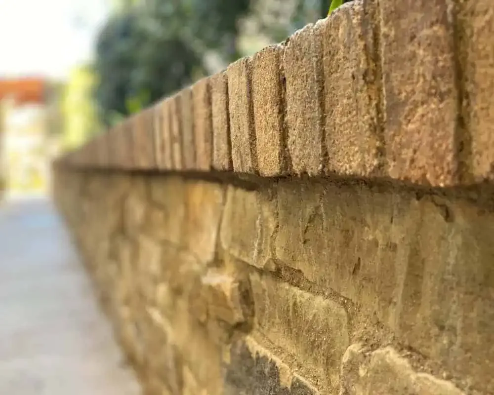 A brick wall with a tree in the background.