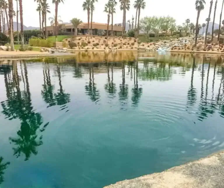 A pool with palm trees and a water feature.