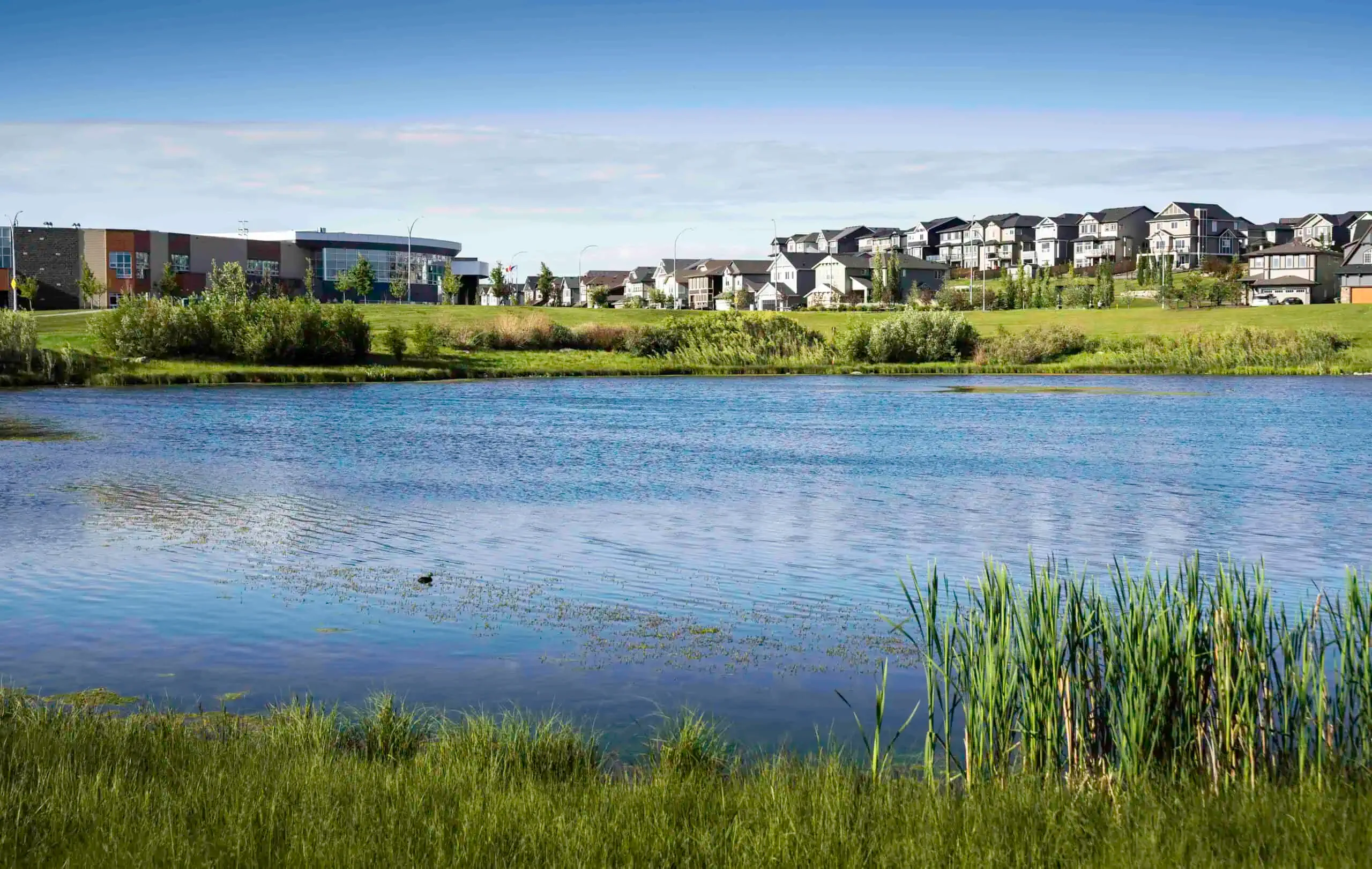 A serene water feature with reeds in the foreground is set against a backdrop of suburban houses under HOA services and a commercial building under a clear blue sky.