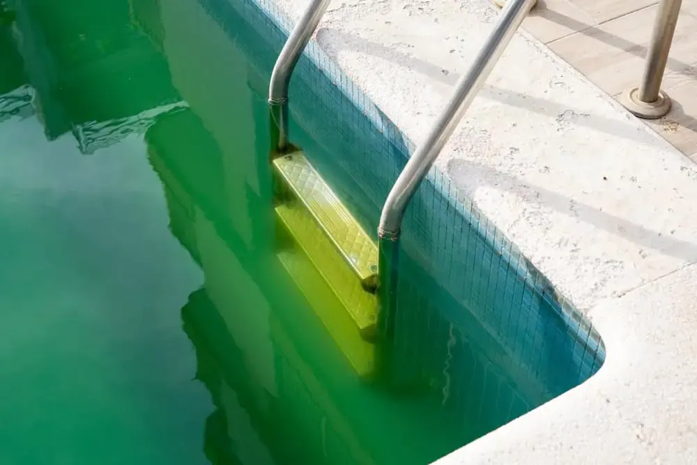 How To Remove Algae From Your Pool