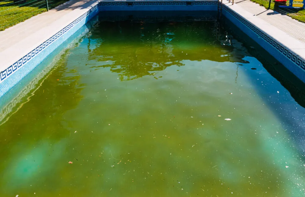What Causes Algae Growth In Pools
