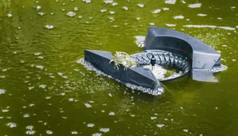 A frog sits on a floating object in a green pond.