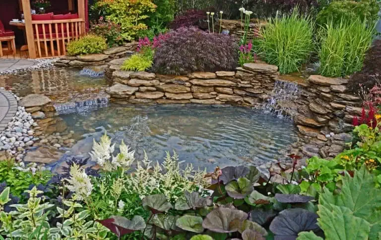 Budgeting And Planning For Your Koi Pond