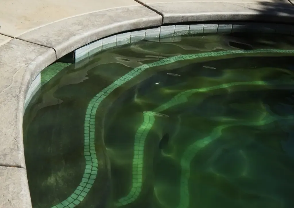 A close-up of a pool with murky, algae-filled water and leaf debris shows the need to remove pool algae, accentuated by the contrast of a clean, curved cement pool edge.