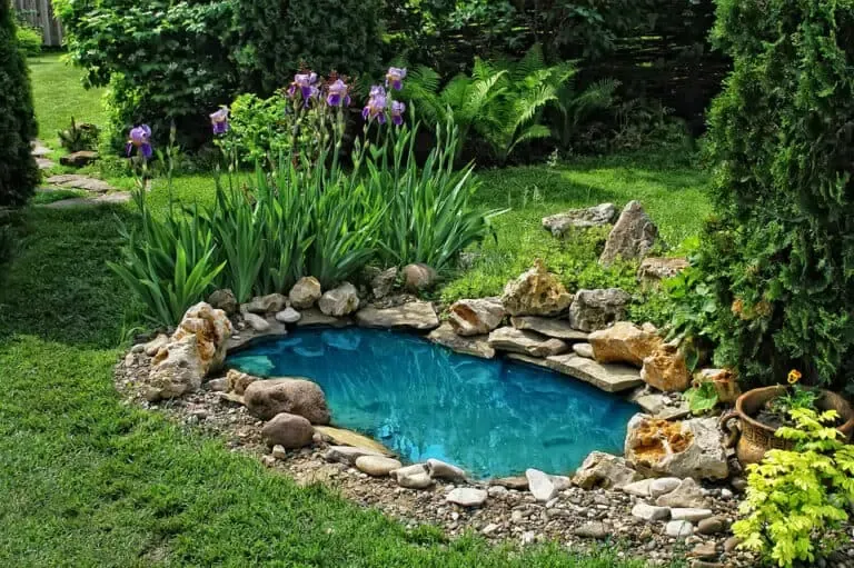 Initial Costs Of Building A Koi Pond