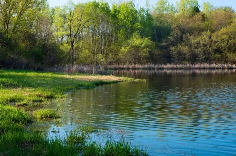 Factors To Consider When Choosing Between A Lake And A Pond