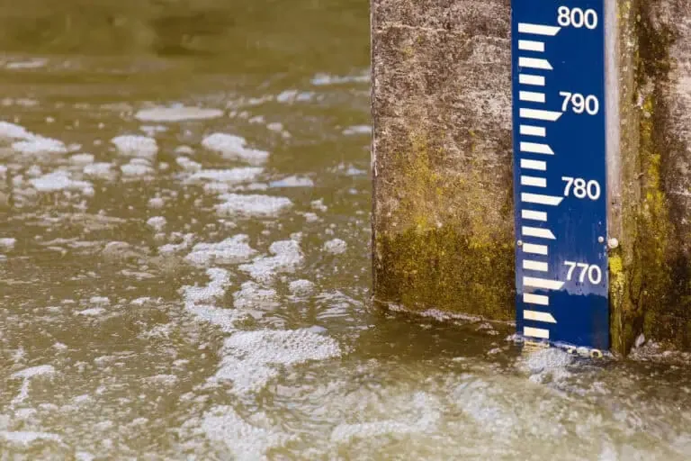 A water level gauge, nestled in the murky waters of a pond, shows measurements ranging from 770 to 800.