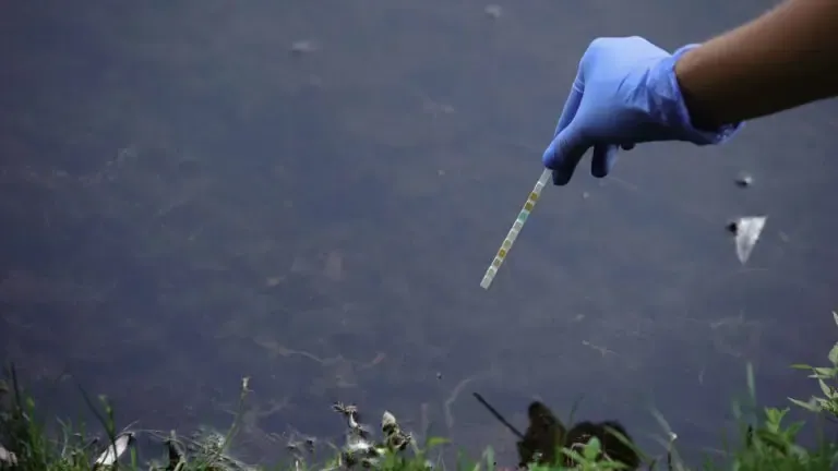 Maintaining Water Quality In Ponds And Lakes During Droughts