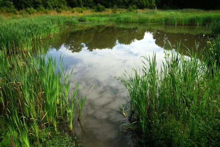 Manual Removal For Small Clusters