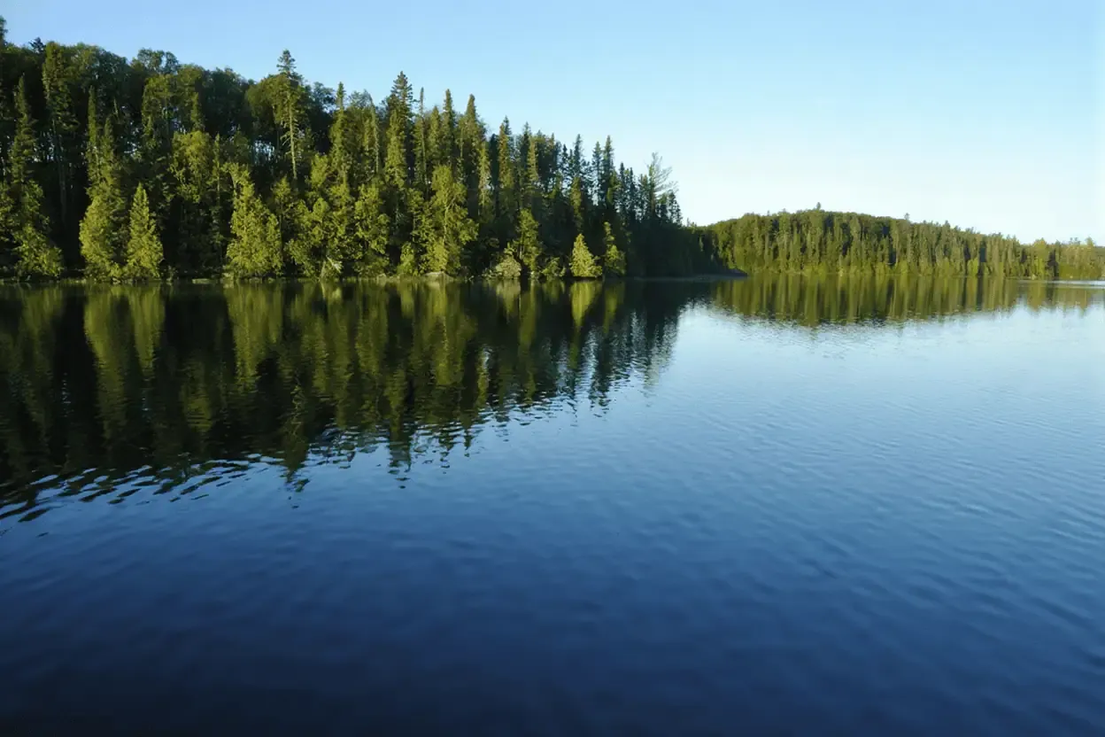 A calm lake with clear blue water reflects a dense forest of green trees under a clear sky, making it the perfect header image for your Blog Template 2025.